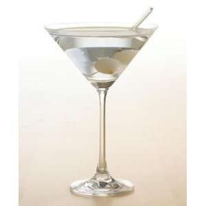  The Cellar 10 oz. Glass Martini Glasses in Set of 4 
