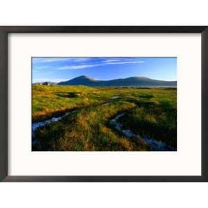  Peat Bogs, Rannoch Moor, Scotland Art Styles Framed 
