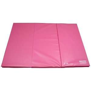  4x6x2 Pink Gymnastics Tumbling Martial Arts V2 Folding 