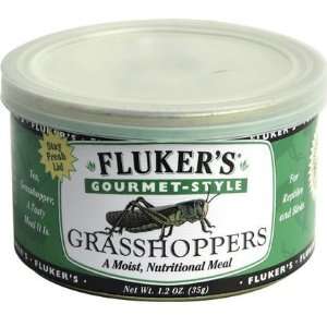  Gourmet Canned Grasshoppers (Quantity of 4) Health 