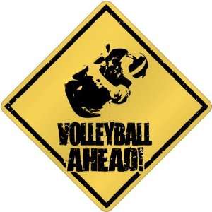  New  Volleyball Ahead / Sign  Crossing Sports