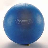 NEW Pilates Workout   Dark Blue 9 mini FitBALL Ball  