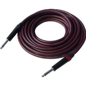  Evidence Audio The Forte Instrument Cable 10 foot Straight 