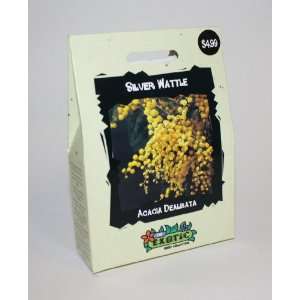  Thompson & Morgan 7004 Exotic Silver Wattle Seed Packet 
