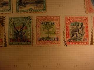 Vintage BEAUTIFUL NORTH BORNEO POSTAGE STAMPS Page from Old Collection 