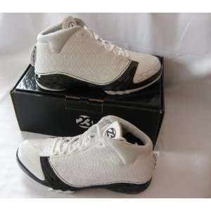  Nike Air Jordan 23 Basketball Shoes Size 9.5 Sports 