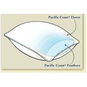  Pacific Coast Hotel Collection Touch of Down Pillow   King 