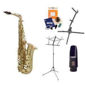   Mouthpiece, The Instrument Store Starter Kit Musical Instruments