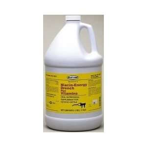  Niacin Enrgy Drench/Vitamins   01 0255   Bci