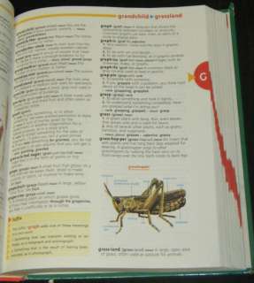 SCHOLASTIC CHILDRENS DICTIONARY. This giant hardback book from 1996 