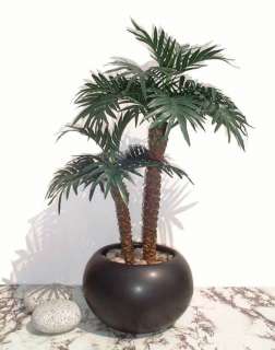 Kurrajong Palm   22 (55cm)   Artificial Silk Plant, Faux Imitation 