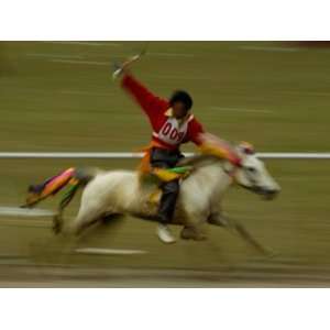  Horse at the Horse Racing Festival, Zhongdian, Deqin 