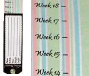 The Mommy Measure is a unique pregnancy growth chart & journal making 
