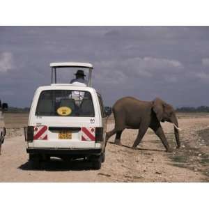  Tourist Safari Vehicle and Elephant, Amboseli National 