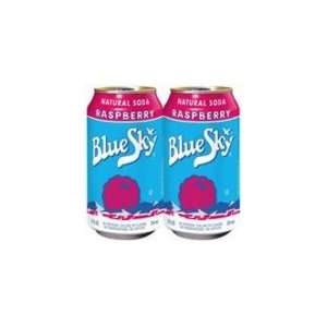 Blue Sky Raspberry Soda ( 4x6 PK) Grocery & Gourmet Food