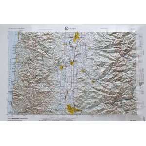 SALEM REGIONAL Raised Relief Map in the state of Oregon with OAK WOOD 