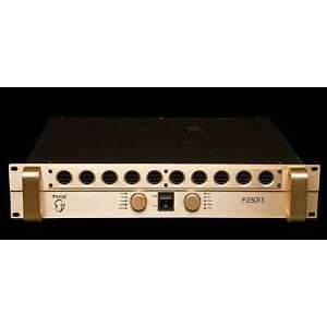  Face Audio F250TS Amplifier Electronics