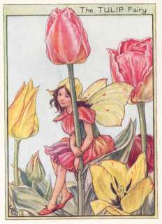 FLOWER FAIRIESBUTTERCUP. Decorative Print. c1930  