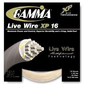  Gamma Live Wire XP 16 String (Set of String packet40 B 
