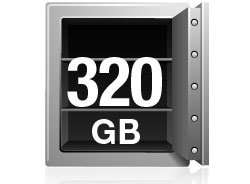 Western Digital Caviar Blue 320 GB Bulk/OEM Hard Drive 3.5 Inch 